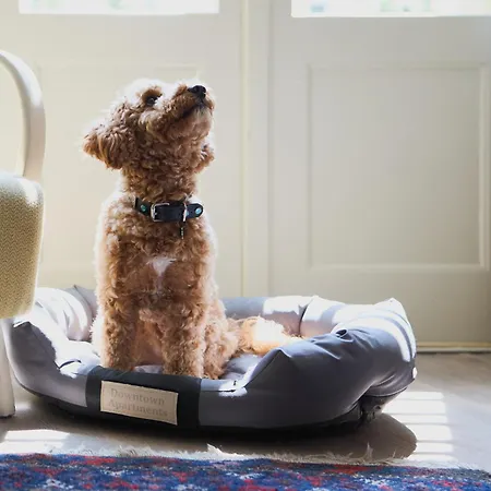 Soho Kazimierz By Downtown *